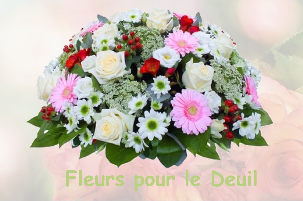 fleurs deuil SAINT-MAURICE-D-IBIE